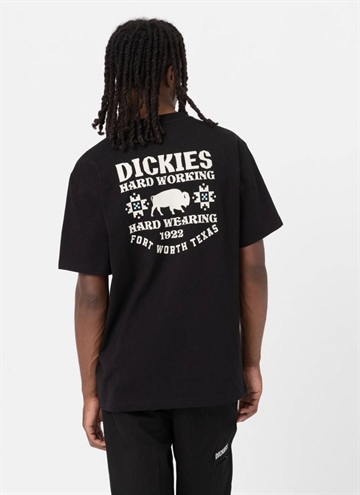 Sort Hays t-shirt fra Dickies.