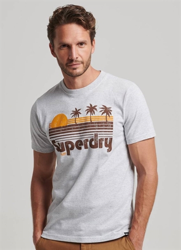 Superdry Vintage Great Outdoors T-Shirt i grå.